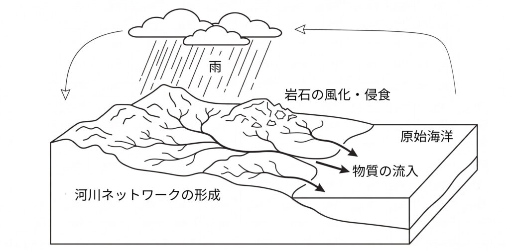 物質循環経路の誕生(模式図)